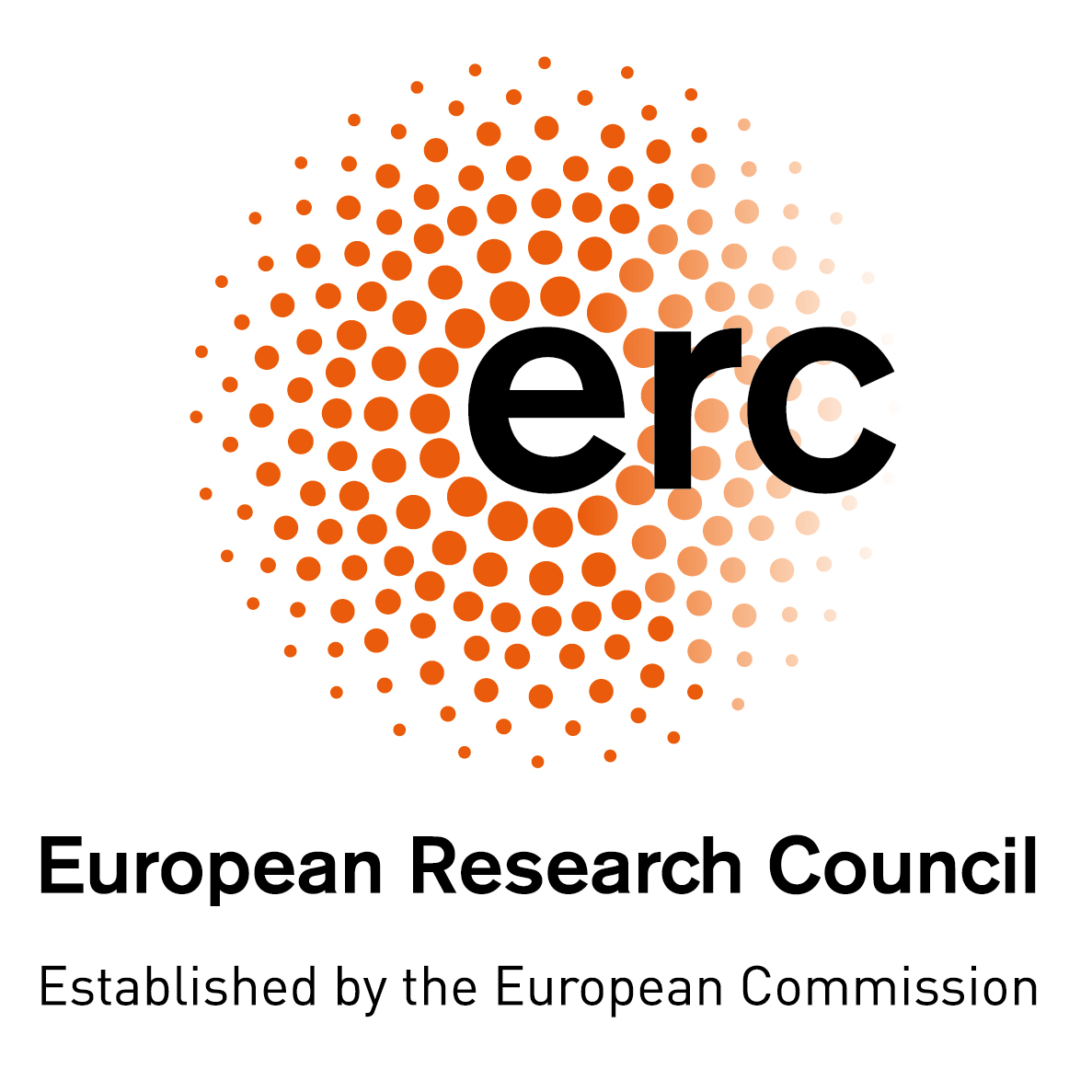 Our group receives the ERC Starting Grant Nanomaterials Engineering